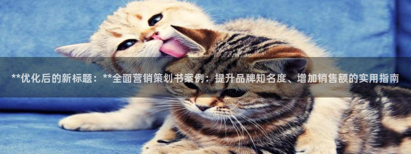 必赢官网入口下载安装手机版