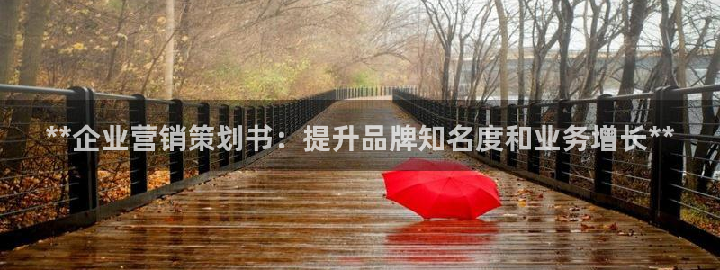 必赢平台网