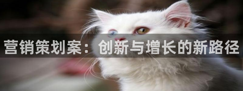 必赢565net官网