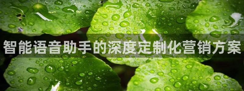 必赢官网app下载苹果版