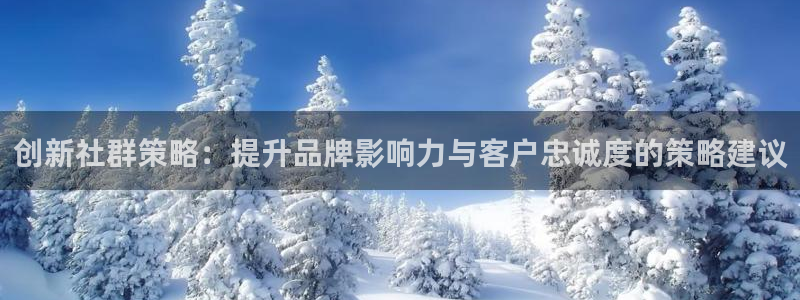 必赢客安卓版