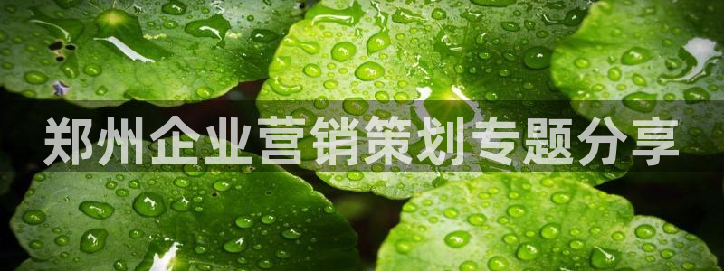 必赢72882网址