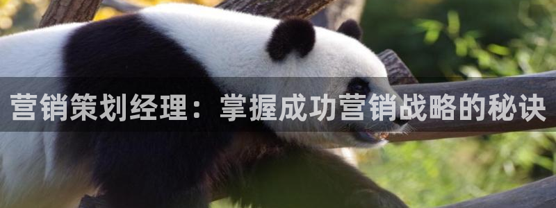 必赢官网网址多少号