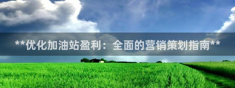 必赢3003手机网页版