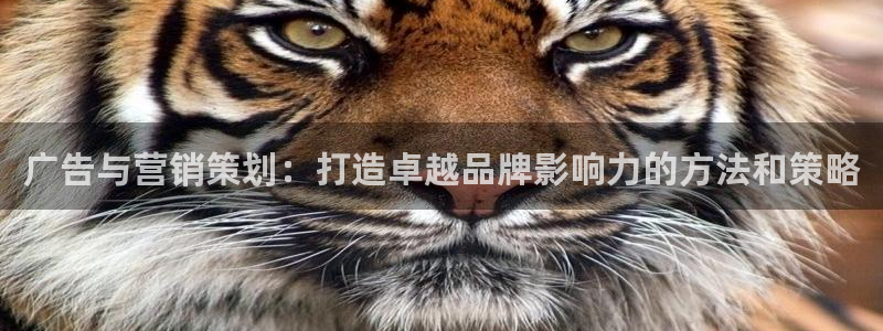必赢7321取不出钱