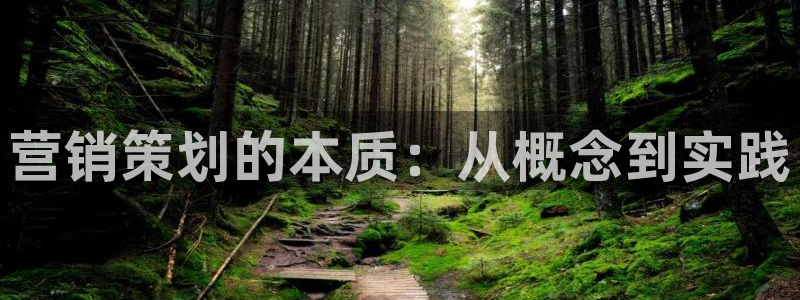 必赢链接