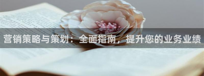 必赢.apk