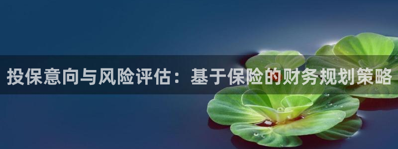 必赢平台怎么样