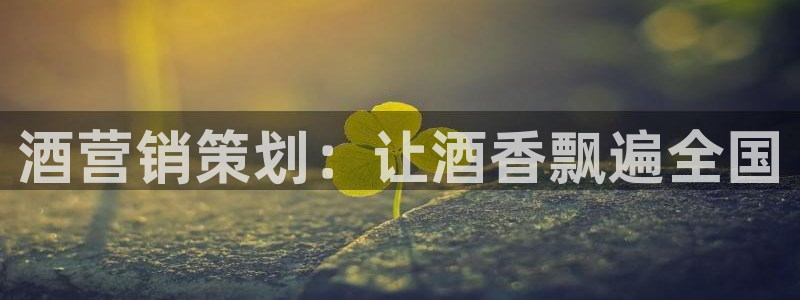 必赢qp