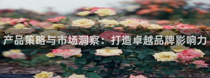 必赢官网下载