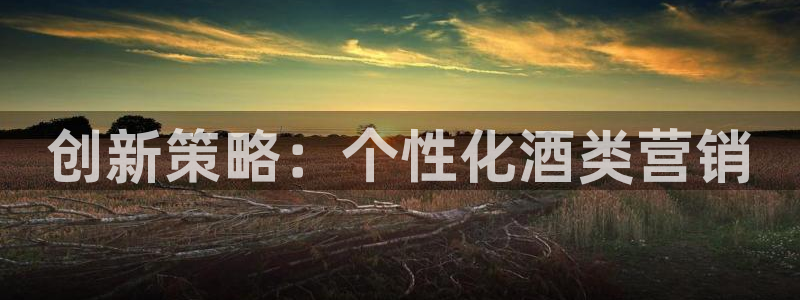 必赢客安卓版