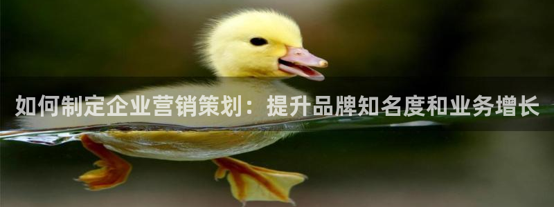 必赢手机app下载安装最新版