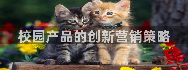 必赢下载安卓版官网
