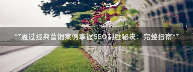 必赢公司