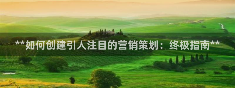 9965必赢棋官方网站怎么样