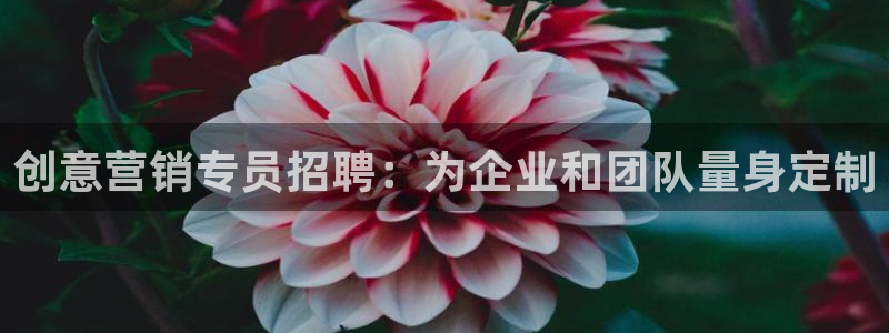 必赢官网网站首页下载