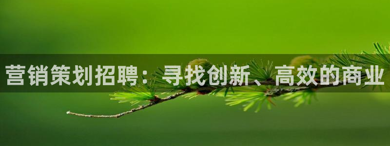 必赢网站是哪一个公司的