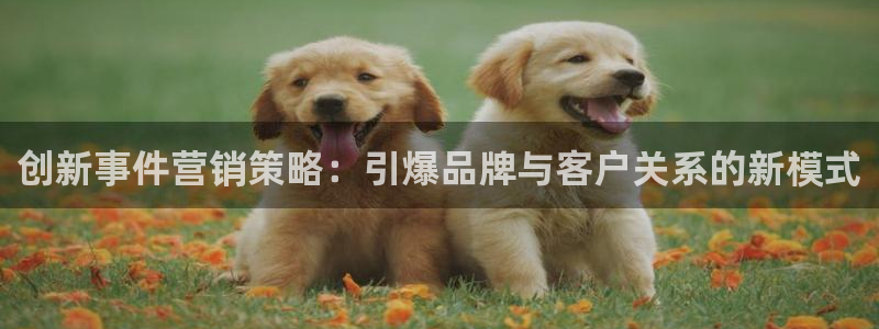 437437必赢国际怎么充不了钱
