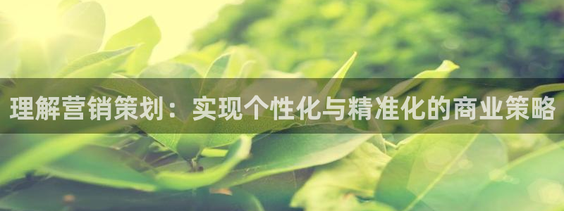 必赢官网网站入口网址