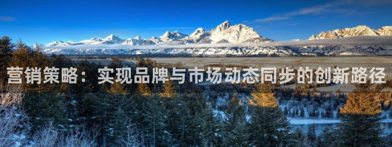 必赢网站有哪些