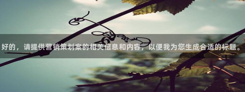 必赢国际437pay,comapp