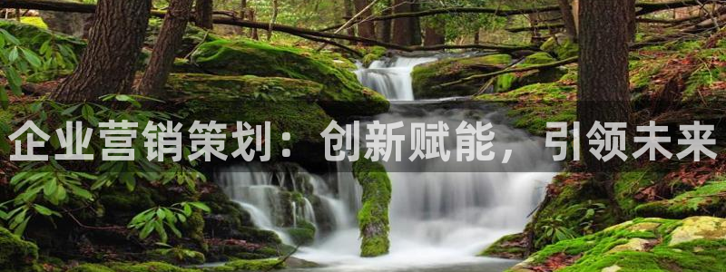 必赢网站是多少啊