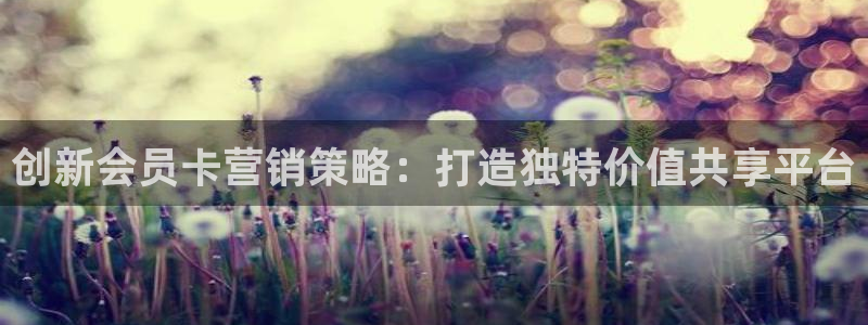 必赢平台怎么样知乎