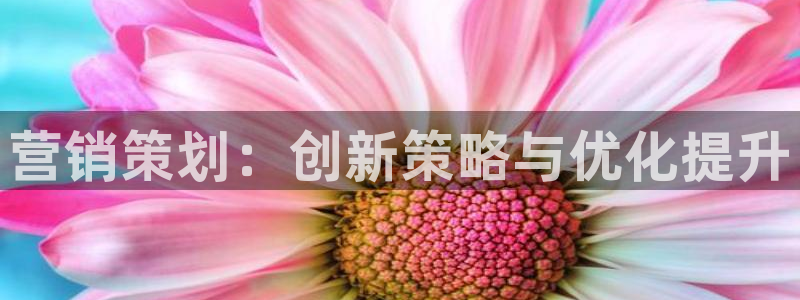 必赢官网网站首页下载