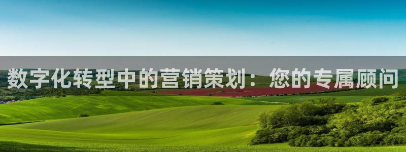 必赢平台官方网址