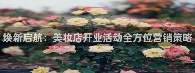 必赢亚赢网站官网下载安卓手机