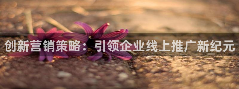 必赢科技北京有限公司：创新营销