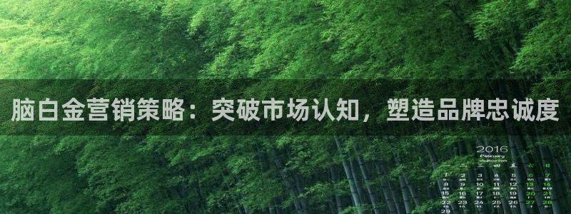 必赢8888：脑白金营销策略：