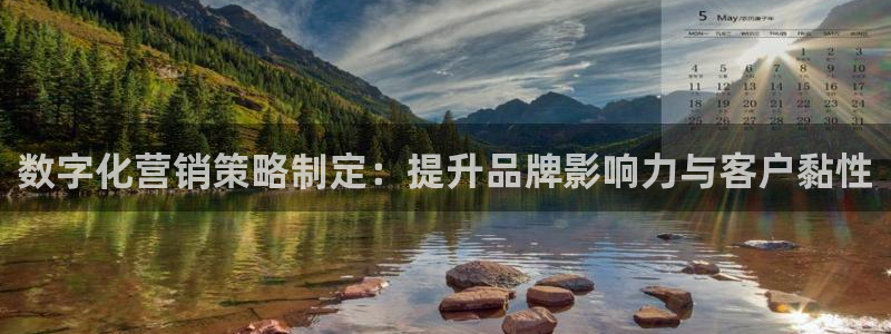 必赢下载安卓版：数字化营销策略