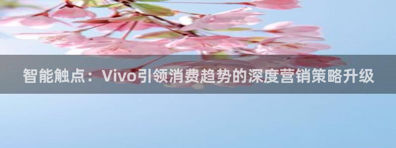 必赢网站是哪一个