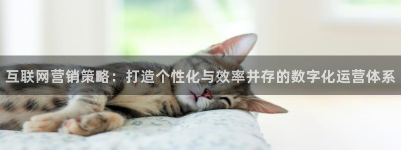 必赢官网app下载安装
