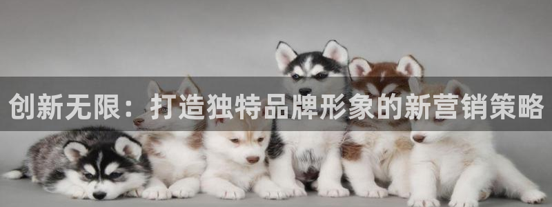 必赢官网入口下载app