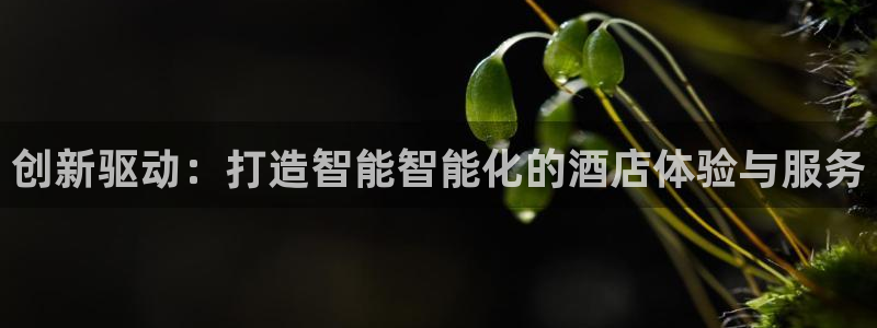 亚洲必赢官网