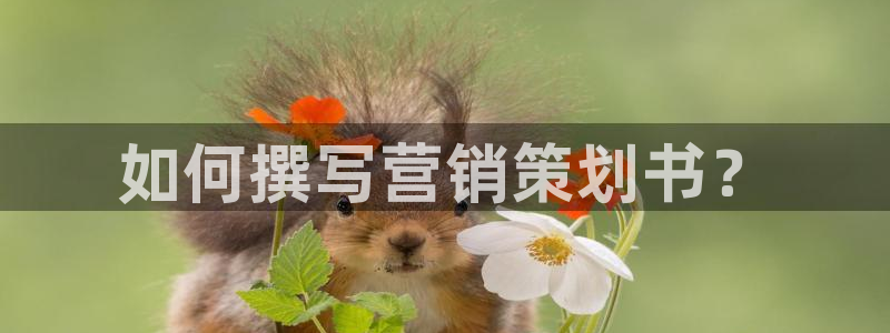 必赢官网入口下载安装苹果