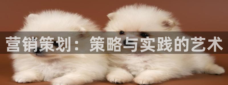 必赢网怎么打不开了呀