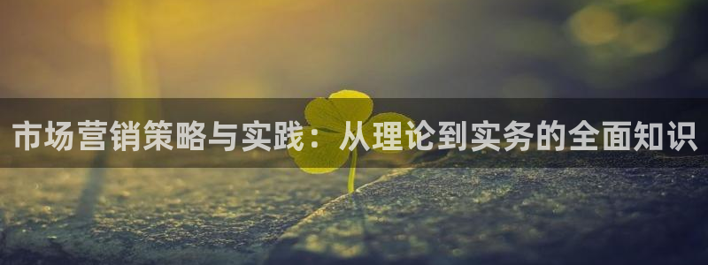 必赢棋脾