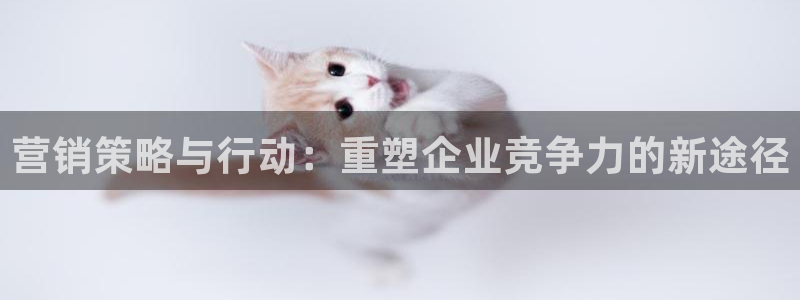 必赢平台官方网站