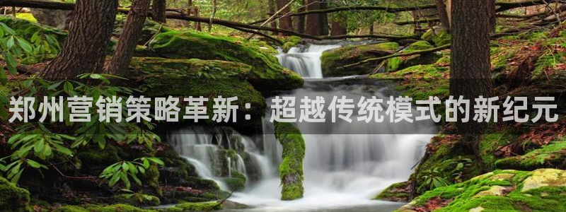 必赢宝是不是合法平台：郑州营销
