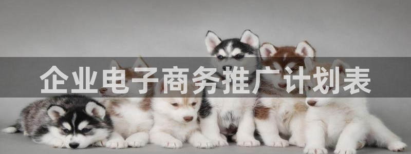 必赢72882网址：企业电子商