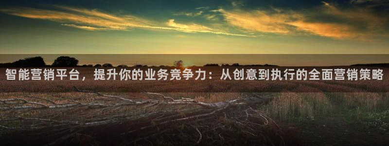 必赢网怎么打不开了呀