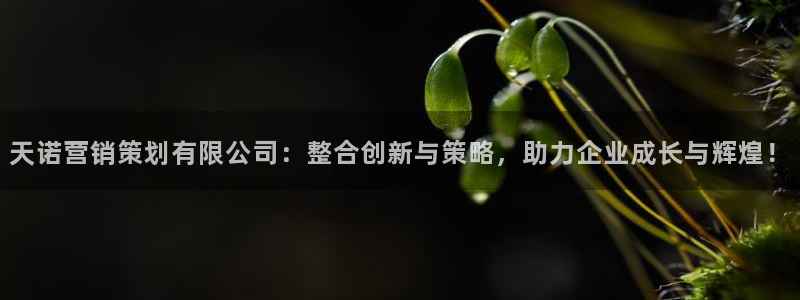必赢app客户端下载官网
