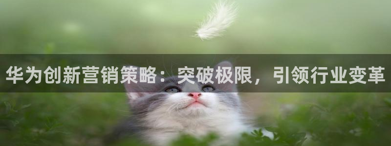 必赢app客户端下载：华为创新