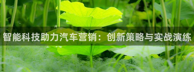 9965必赢游戏特色