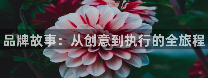 必赢亚赢网站官网下载安装手机版