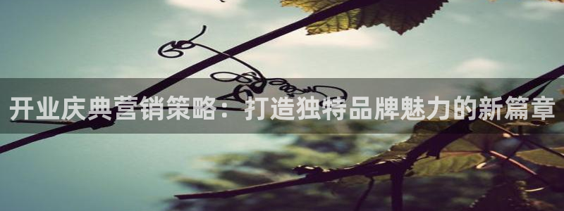 必赢国际437网页版：开业庆典